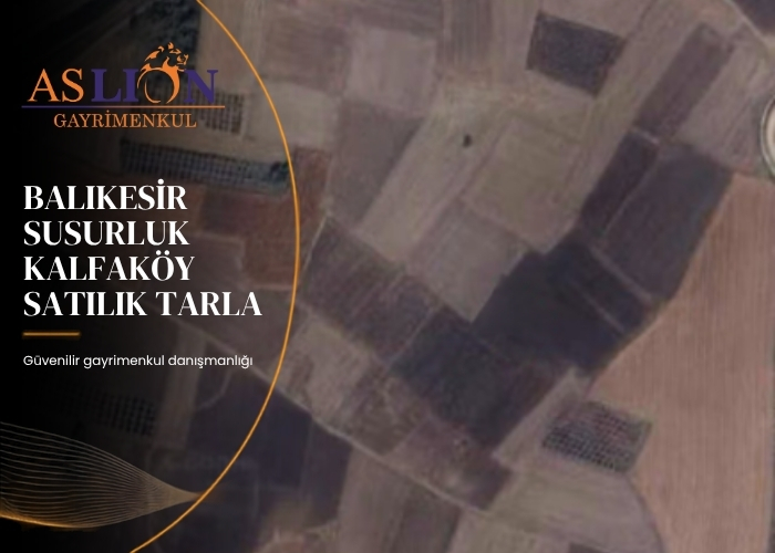 Balıkesir Susurluk Kalfaköy Satılık Tarla |